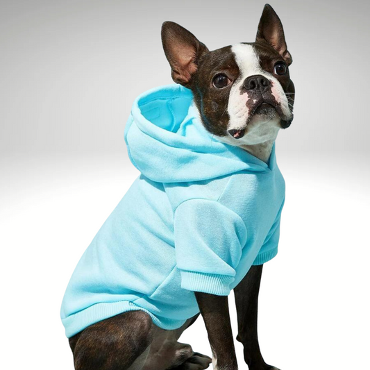Blue Snuggle Muttzzz Warm Dog Jersey with Hoodie