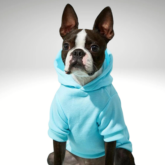 Blue Snuggle Muttzzz Warm Dog Jersey with Hoodie