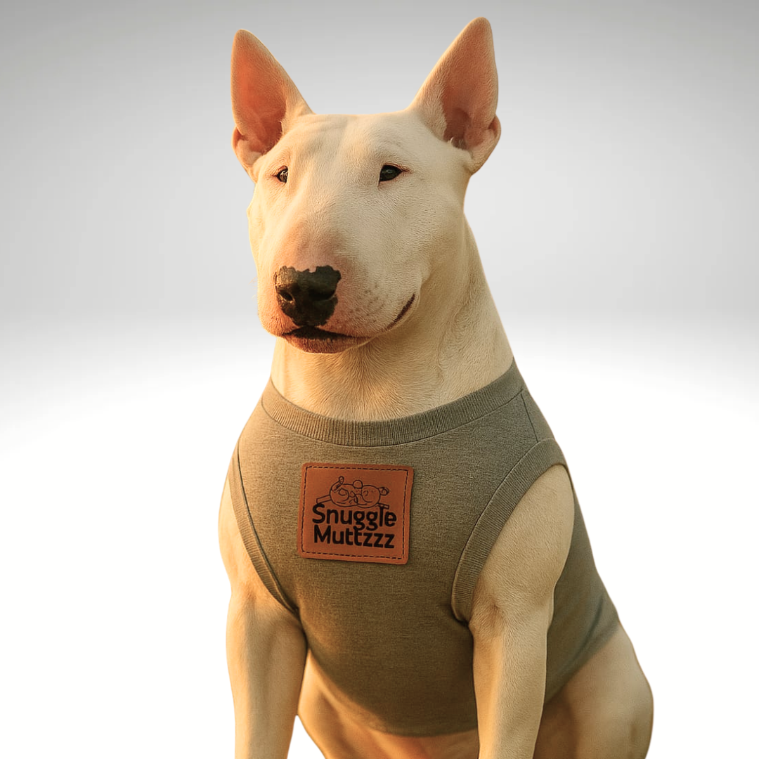 Grey Snuggle Muttzzz Sleeveless Dog Jersey